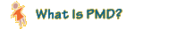 What Is PMD?
